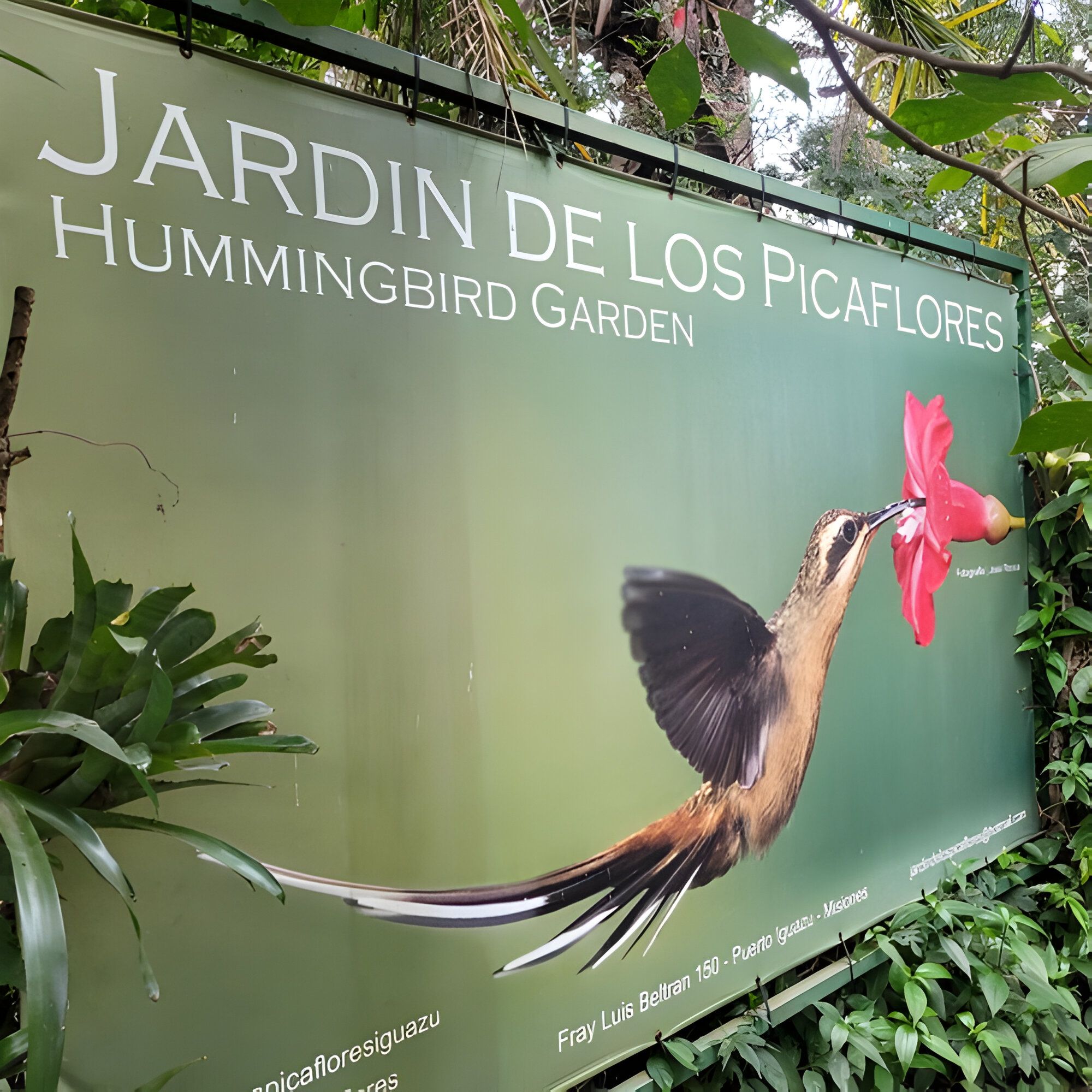 jardinpicaflor